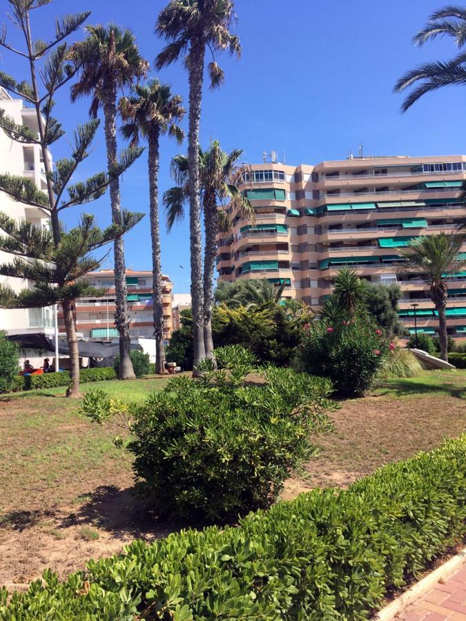 Apartmento Hana Con Terraza - Despues De La Renovacion General Ла-Мата Екстер'єр фото